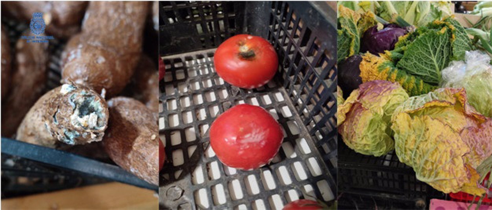 Sancionan a cuatro establecimientos de alimentación de Manacor que vendían productos en descomposición Sancionan a cuatro establecimientos de alimentación de Manacor que vendían productos en descomposición