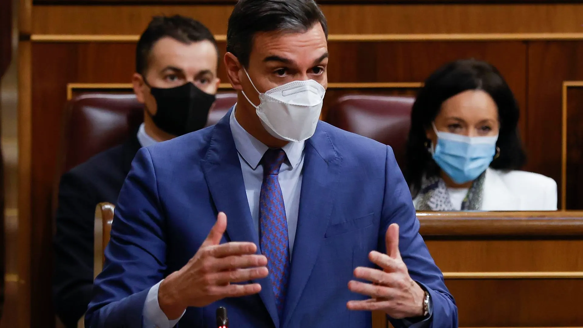 Pedro Sánchez, en el Congreso de los Diputados. Pedro Sánchez, en el Congreso de los Diputados. / Efe