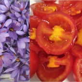Crean tomates con azafrán que podría ayudar en la investigación sobre el alzheimer 