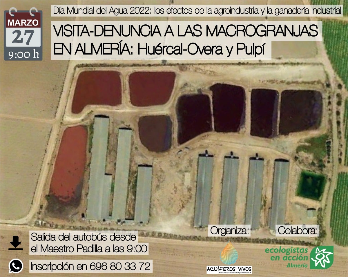 La contaminación en los acuíferos aumenta por la actividad agroindustrial que se produce en el Levante La contaminación en los acuíferos aumenta por la actividad agroindustrial que se produce en el Levante