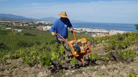 Podcast Gastronomia Manilva