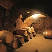 Barricas de vino Barricas de vino