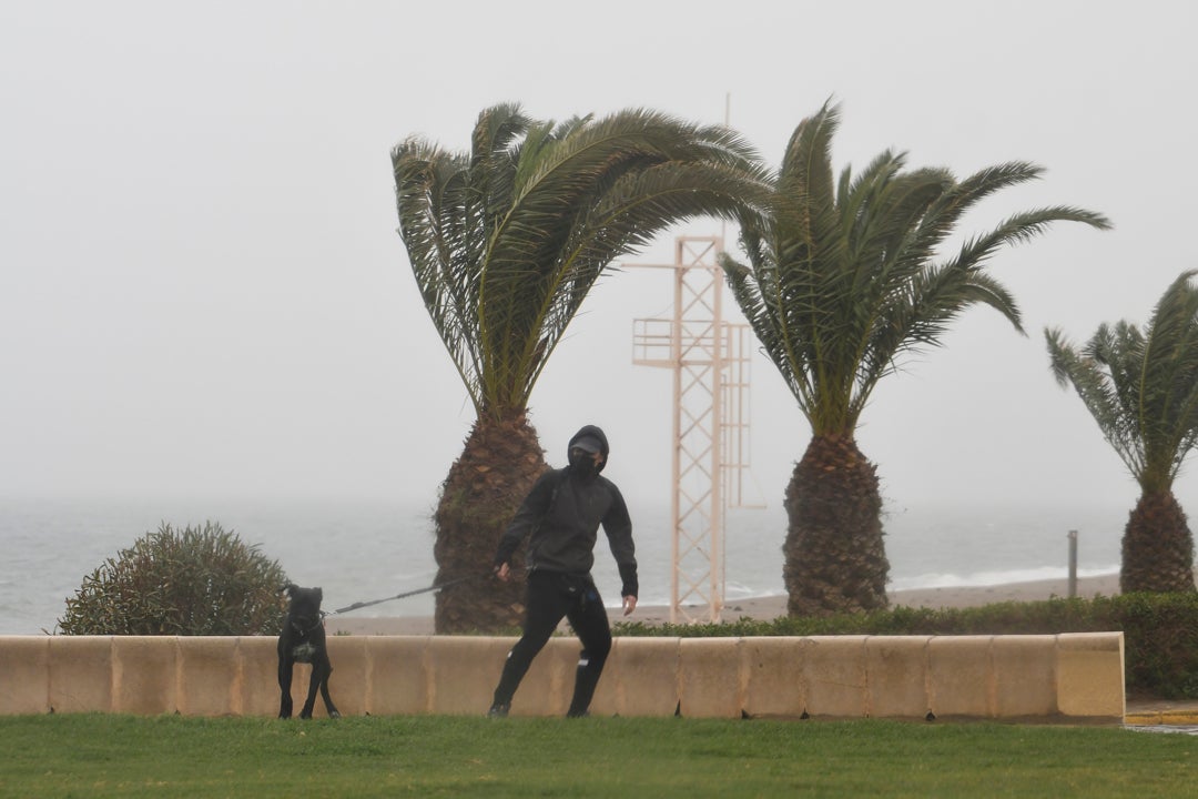 ¿Cuándo volverá el sol? Nueva borrasca y más lluvias para los próximos días ¿Cuándo volverá el sol? Nueva borrasca y más lluvias para los próximos días