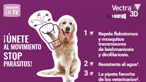 Spot Vectra 3D Spot Vectra 3D