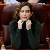 Isabel Díaz Ayuso, durante un pleno de la Asamblea de Madrid