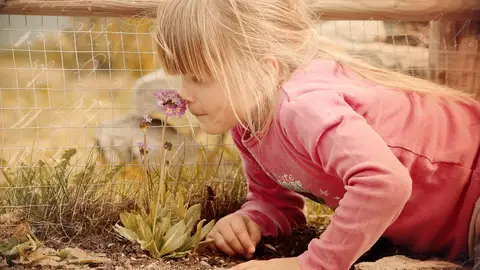 Los olores te transportan a momentos de tu vida Los olores te transportan a momentos de tu vida