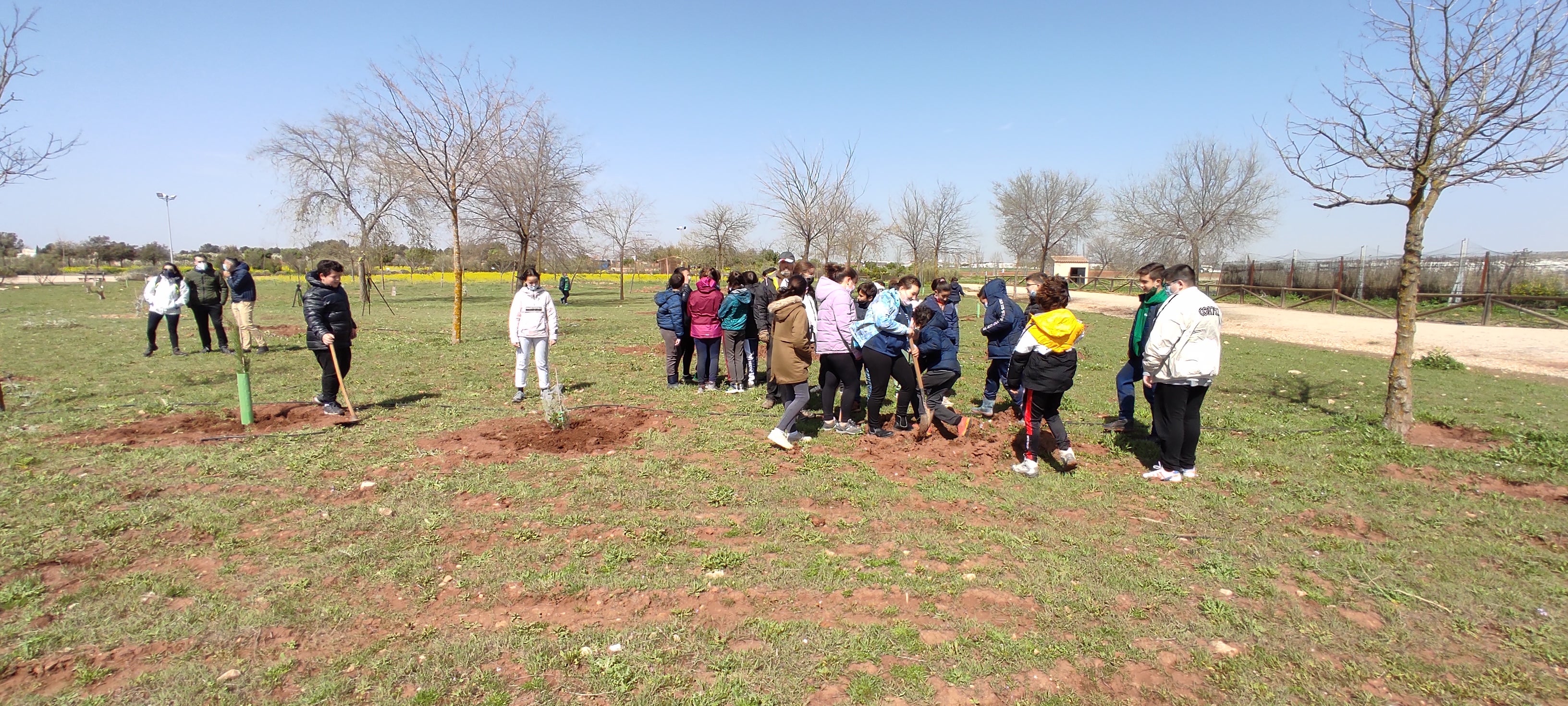 El Ayuntamiento y los Centros Educativos repueblan el Parque de la Naturaleza en Campo de Criptana El Ayuntamiento y los Centros Educativos repueblan el Parque de la Naturaleza en Campo de Criptana