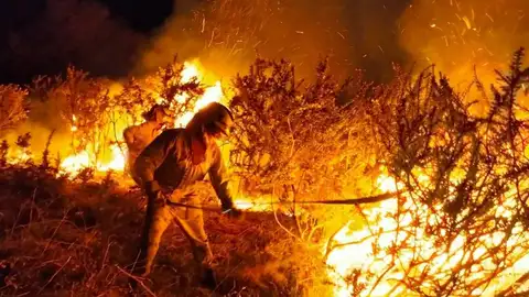 Incendio forestal en San Vicente de León Arenas de Iguña