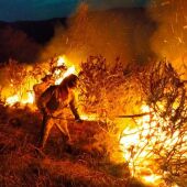 Incendio forestal en San Vicente de León
