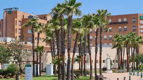Cinco jóvenes heridos leves al chocar frontalmente dos turismos en El Ejido Cinco jóvenes heridos leves al chocar frontalmente dos turismos en El Ejido