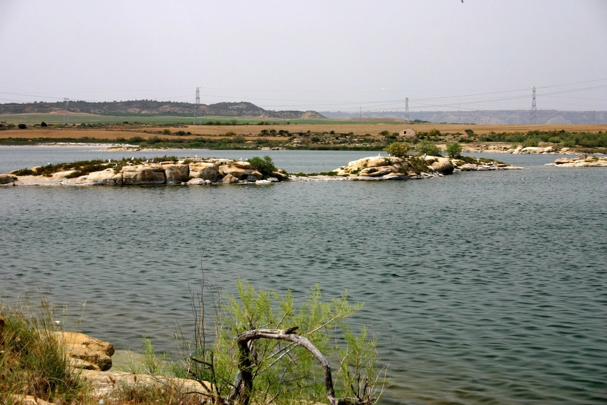 Las saladas de Chiprana, únicas en Europa Las saladas de Chiprana, únicas en Europa