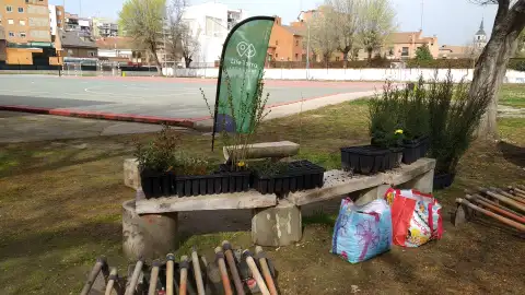 Los alumnos del instituto alcalaíno Alonso Quijano realizan una plantación de árboles y arbustos dentro del centro educativo Los alumnos del instituto alcalaíno Alonso Quijano realizan una plantación de árboles y arbustos dentro del centro educativo
