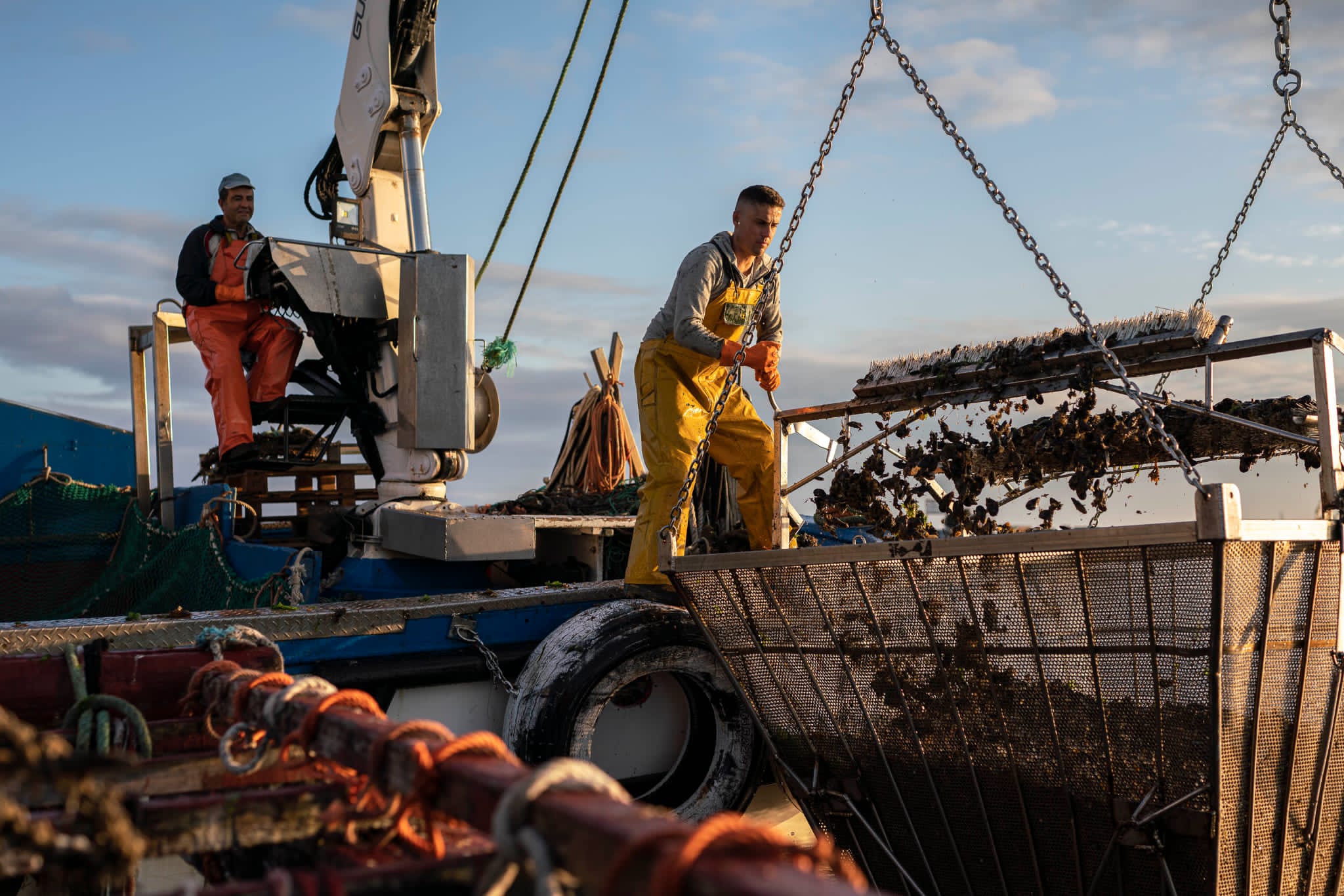 El mejillón: características y las formas más ricas de preparar este producto El mejillón: características y las formas más ricas de preparar este producto