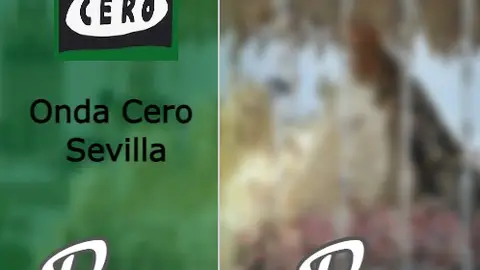 Paso a Paso Paso a Paso
