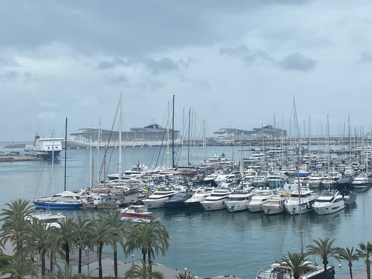 La patronal de cruceros insiste en que Palma no ha recuperado las cifras de antes de la pandemia La patronal de cruceros insiste en que Palma no ha recuperado las cifras de antes de la pandemia