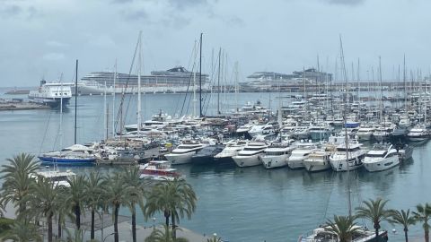 El puerto de Palma con varios cruceros atracados