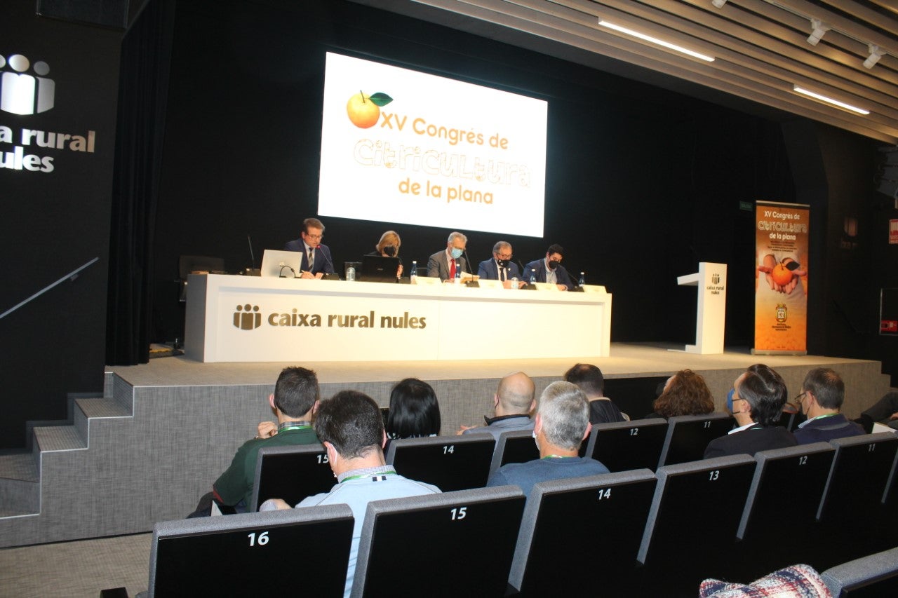 Nules se convierte en el epicentro de la agricultura de la provincia Nules se convierte en el epicentro de la agricultura de la provincia