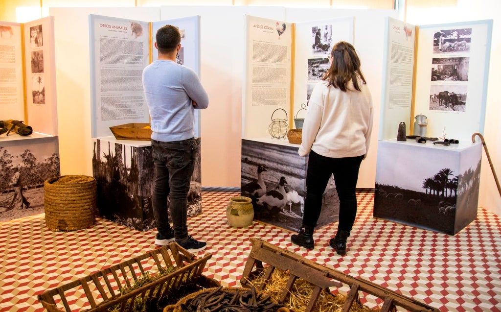 El Proyecto Puçol inaugura la nueva exposición temporal 'Queridos animales' El Proyecto Puçol inaugura la nueva exposición temporal 'Queridos animales'