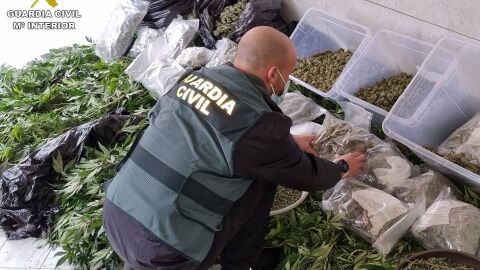 La Guardia Civil detiene en la Vega Baja a tres personas por enviar marihuana al extranjero mediante paqueter&iacute;a 