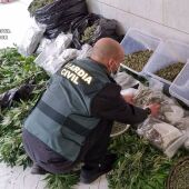 La Guardia Civil detiene en la Vega Baja a tres personas por enviar marihuana al extranjero mediante paquetería 