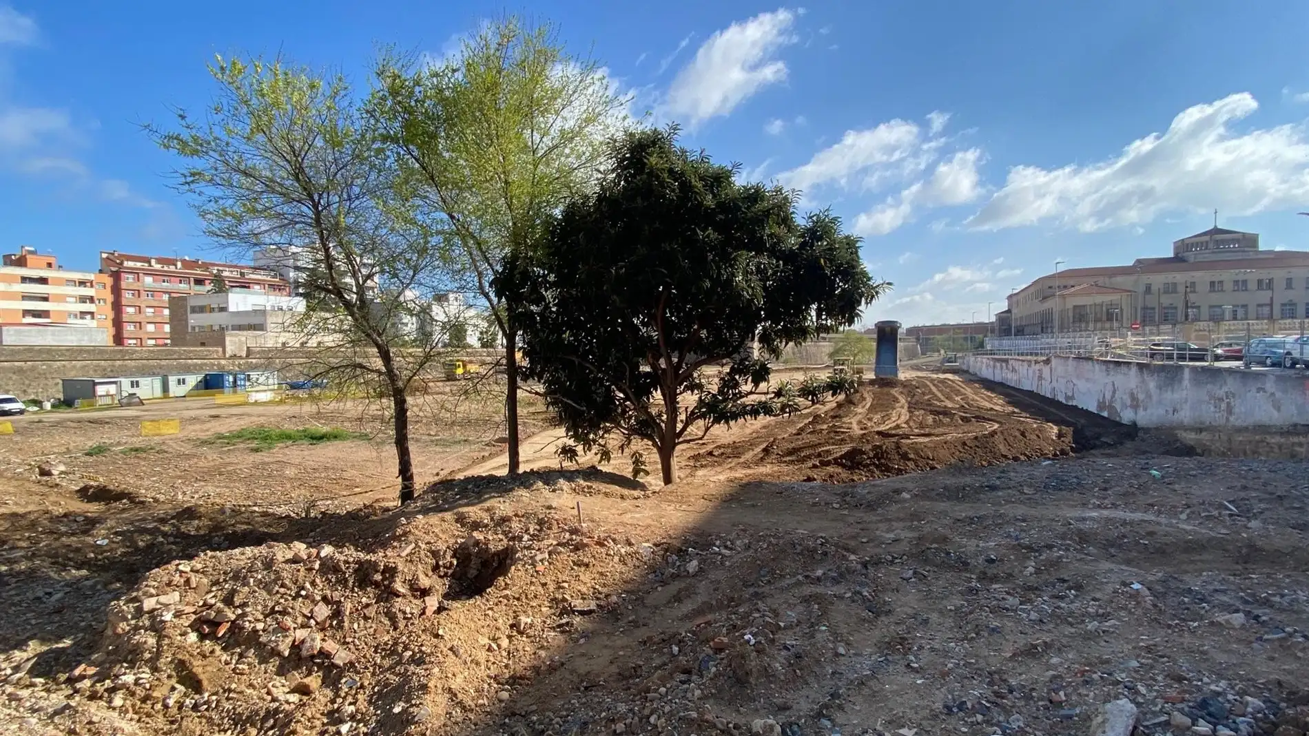 El PSOE de Badajoz espera que se tomen medidas para que no se pierda ningún árbol por las obras de la calle Stadium