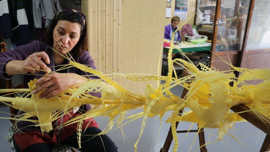 Las palmas blancas de Elche un año mas protagonistas del Domingo de Ramos Las palmas blancas de Elche un año mas protagonistas del Domingo de Ramos