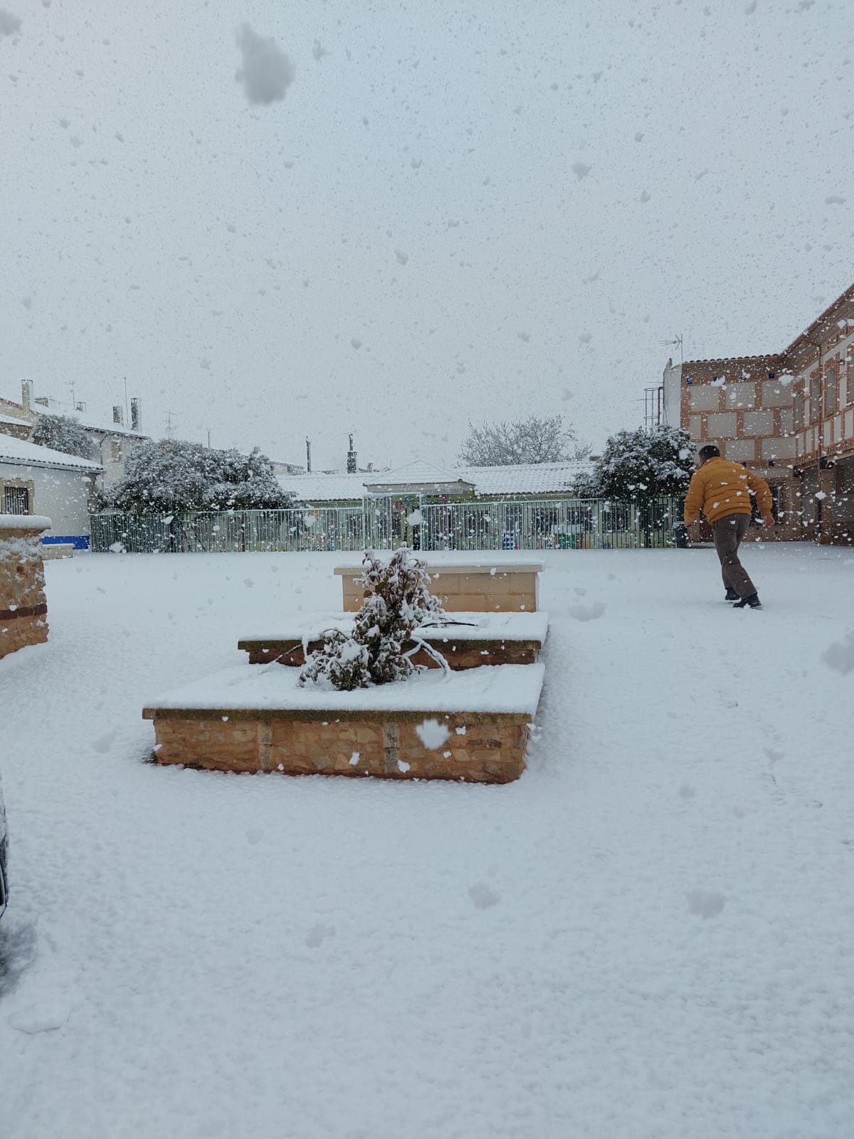 La nieve deja estampas blancas en el Campo de Montiel La nieve deja estampas blancas en el Campo de Montiel