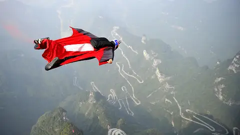 wingsuit wingsuit