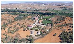 Plantación en San Blas para San Jorge Plantación en San Blas para San Jorge