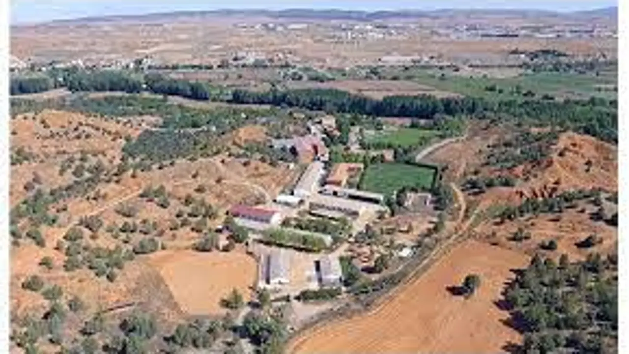Plantación en San Blas para San Jorge