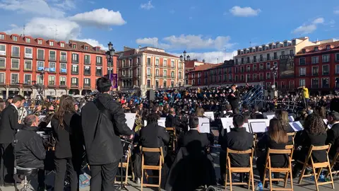 llamador valladolid 06/04/2022 llamador valladolid 06/04/2022