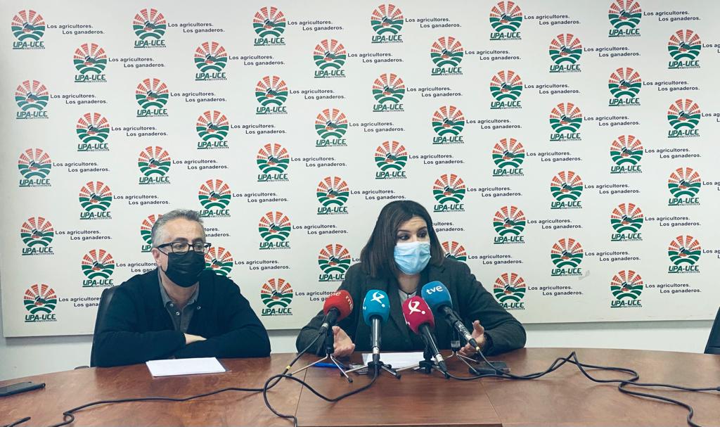 Hasta 10 años ha tardado CHG en legalizar pozos de explotaciones agrarias Hasta 10 años ha tardado CHG en legalizar pozos de explotaciones agrarias