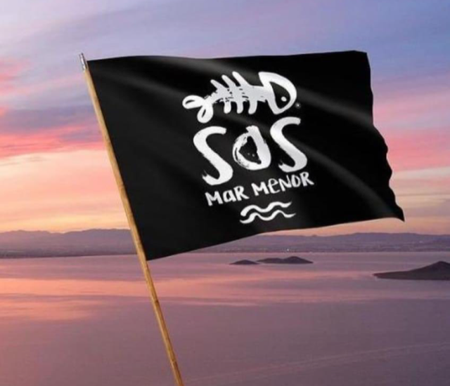 Todos los partidos, salvo VOX, votan a favor de dotar de personalidad jurídica al Mar Menor Todos los partidos, salvo VOX, votan a favor de dotar de personalidad jurídica al Mar Menor