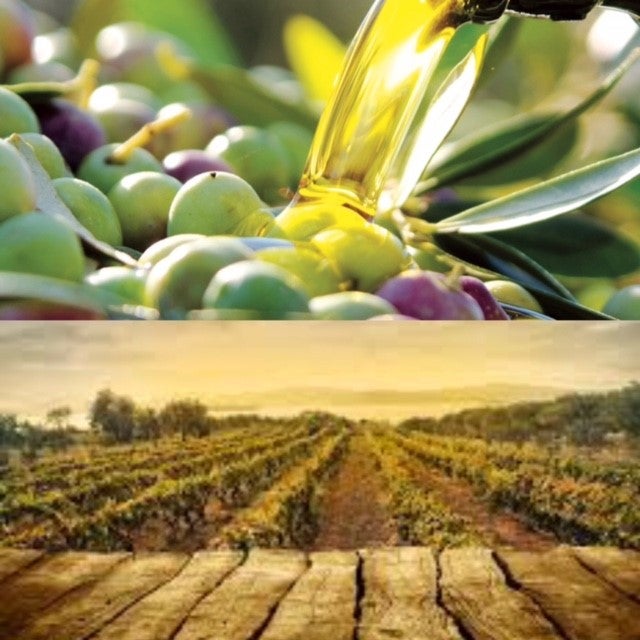 La Gastronomía en Onda Cero, con Sabor a Málaga, marca promocional de la Diputación Provincial La Gastronomía en Onda Cero, con Sabor a Málaga, marca promocional de la Diputación Provincial