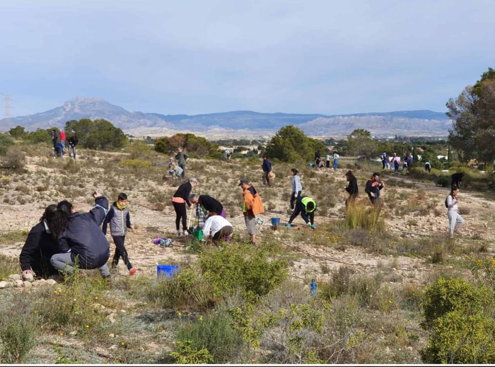 Enamorados de Alicante lleva a cabo una reforestación de más de mil árboles que serán plantados en monte Orgegia Enamorados de Alicante lleva a cabo una reforestación de más de mil árboles que serán plantados en monte Orgegia