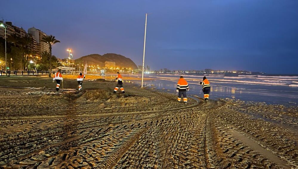 Los operarios trabajan de noche en la Playa de El Postiguet