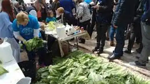 Festa de l'encisam Alberic Festa de l'encisam Alberic