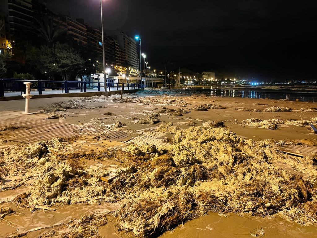 Alicante se afana con 24 equipos de limpieza para preparar las playas antes de Semana Santa Alicante se afana con 24 equipos de limpieza para preparar las playas antes de Semana Santa