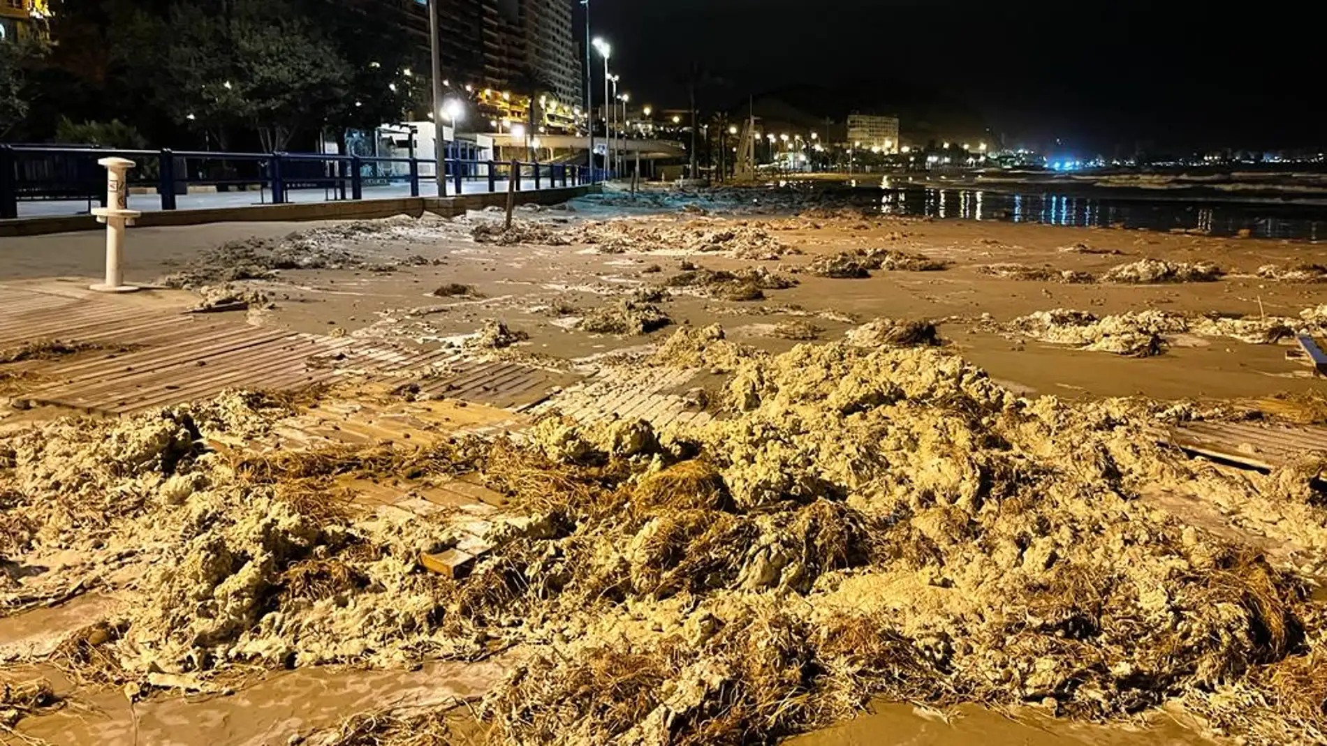 Acumulación de algas en la arena arrastradas por la fuerza del temporal 