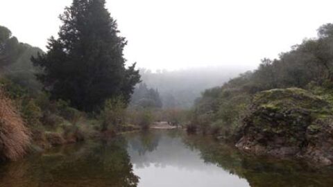 Paraje de Adamuz