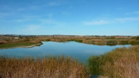 Pantano de El Vicario