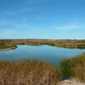 Pantano de El Vicario Pantano de El Vicario