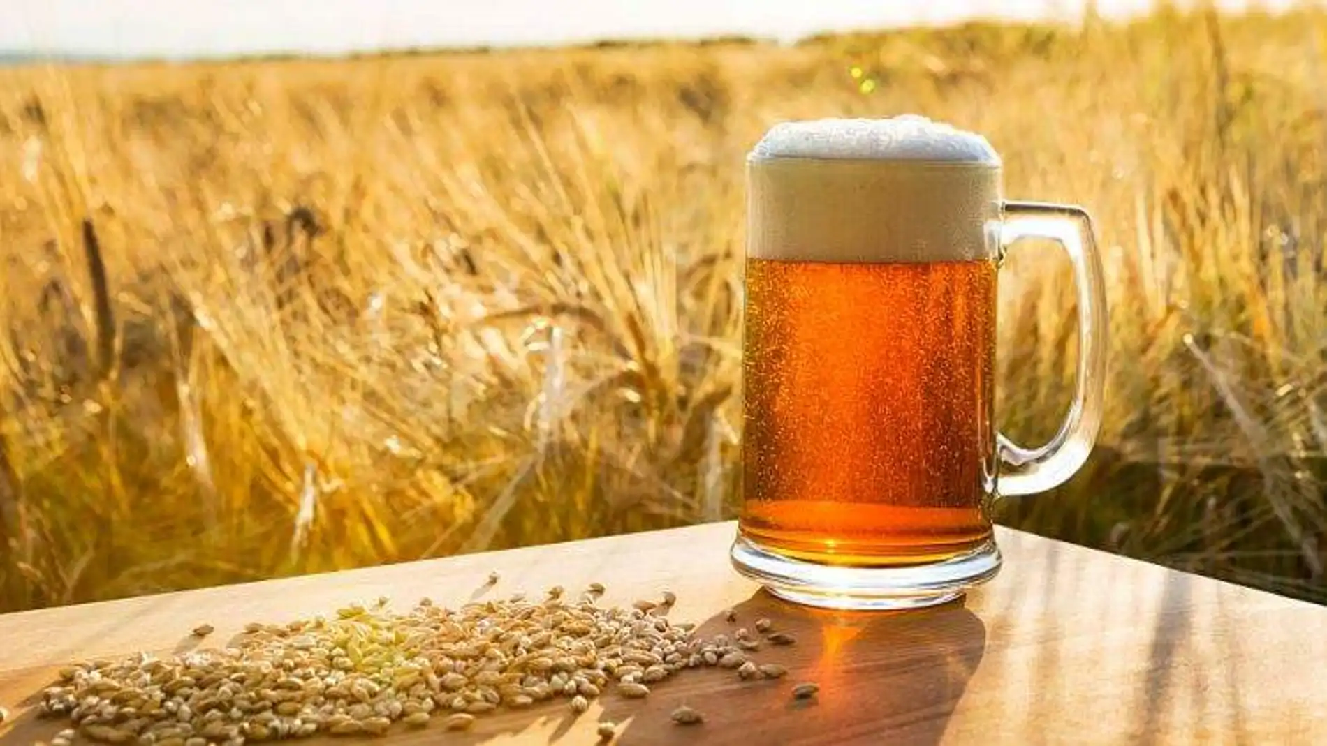 Cerveza en un campo de cebada
