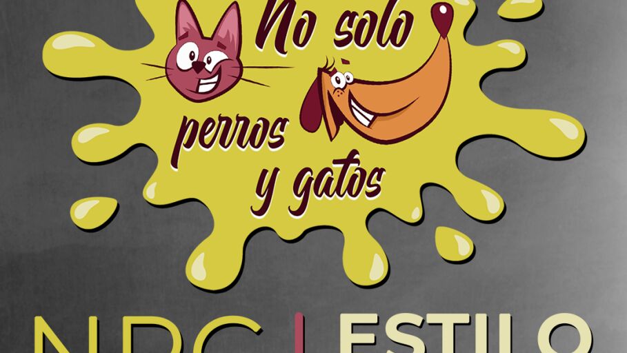 No Solo Perros y Gatos T03xE12: Freestyle Version