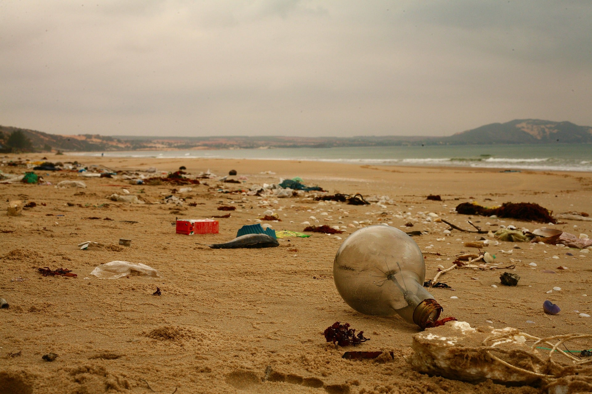 Señales del fin del mundo: Microplásticos en el mar Señales del fin del mundo: Microplásticos en el mar