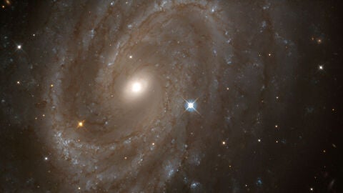 El C&iacute;rculo Secreto: Dios y la conciencia en el laboratorio