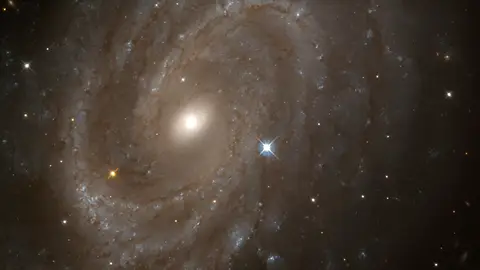 El Círculo Secreto: Dios y la conciencia en el laboratorio El Círculo Secreto: Dios y la conciencia en el laboratorio