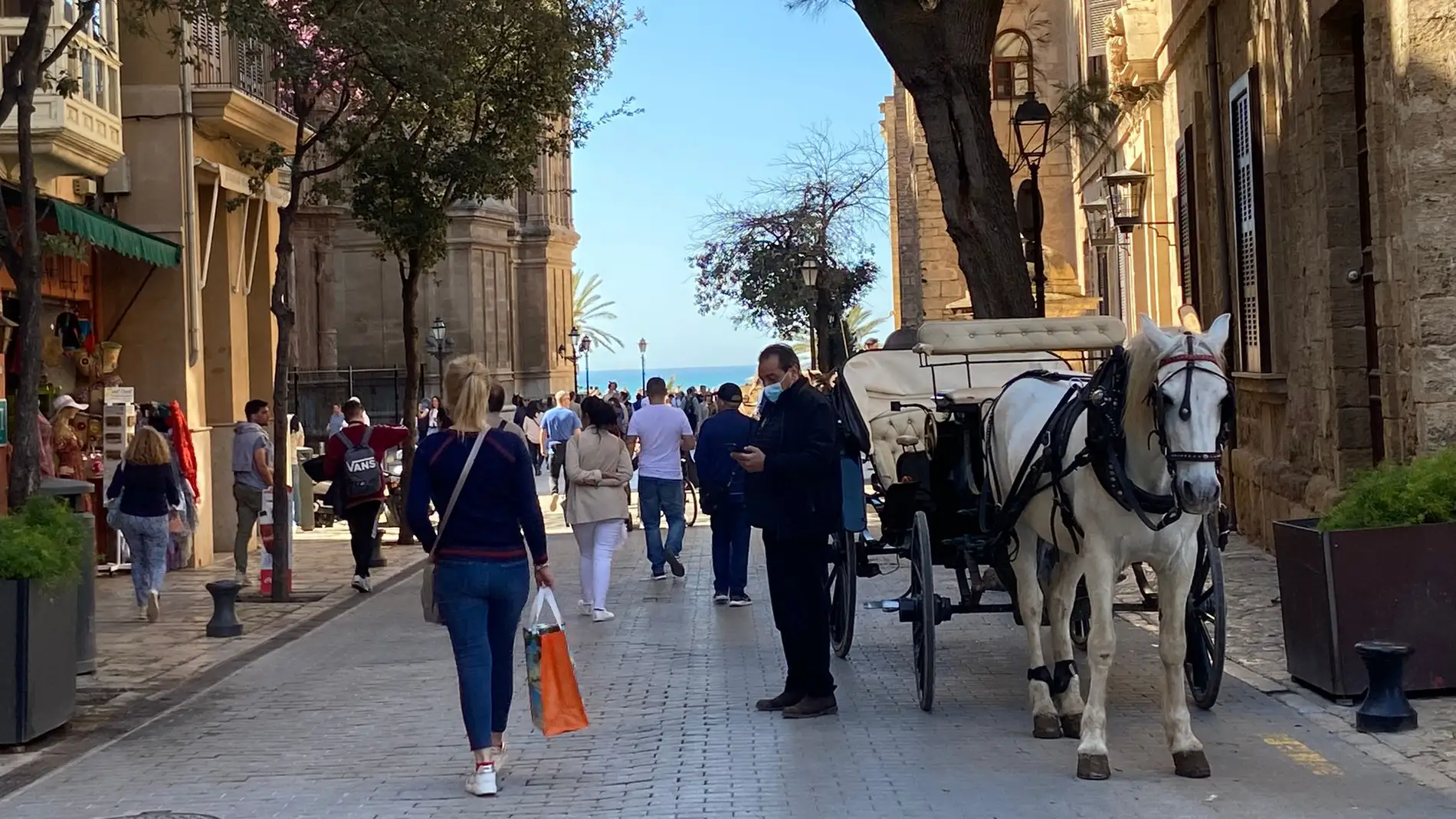 Turistas paseando por el centro de Palma, muy cerca de la Catedral. 