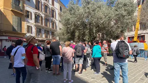 Turistas en la Plaça de Cort de Palma. Turistas en la Plaça de Cort de Palma.