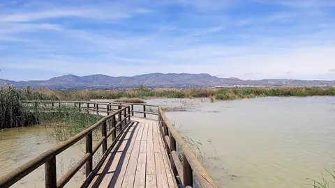 Pasarela de madera en el Parque Natural de El Hondo Crevillent-Elche. Pasarela de madera en el Parque Natural de El Hondo Crevillent-Elche.